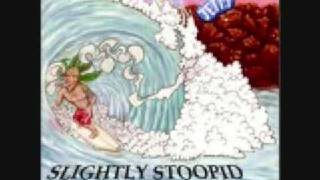 Slightly Stoopid  Mr Music [upl. by Essinger]