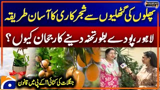 Planting from fruit kernels  Deforestation Law in KP  Aapas Ki Baat Awam Kay Saath [upl. by Natalya]