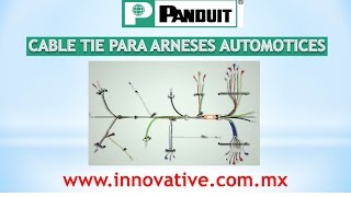 Cable Tie Para Arneses Automotrices OEM [upl. by Ayihsa782]