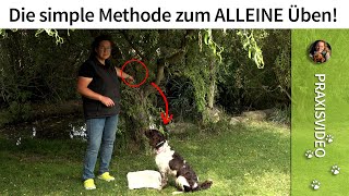 Hundeerziehung ➡️ Die simple Methode zum ALLEINE Üben ➡️ Praxisvideo ✔️ [upl. by Obeded]