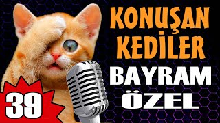 Konuşan Kediler 39  Bayram Özel Komik Kedi Videoları [upl. by Idelia867]