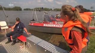 Hochwasser 2013 in der Elbtalaue bei Hitzacker  NaturNah [upl. by Wagshul]