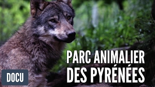 Parc Animalier des Pyrénées  Reportage [upl. by Inahpets]