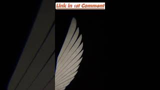 Angel Wings LED Lights for Car and Motorcycle viralshorts [upl. by Tutto]