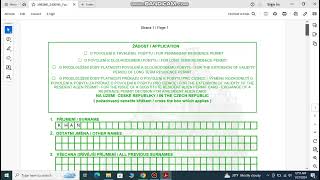 How to fill Visa Application form Czech Republic [upl. by Eiramrebma]
