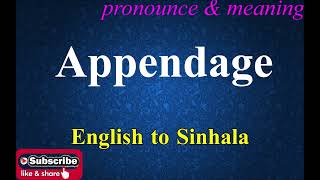 Appendage  Sinhala Meaning with Pronounce සිංහල තේරුම උච්ඡාරණය සමඟ  Dilfinity Dictionary [upl. by Drusy303]