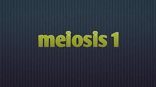 Meiosis Updated [upl. by Enneiviv]