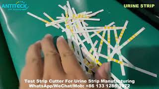 Test Strip Cutter For Urine Test Strips And Rapid Test Manufacturing  Lateral Flow Assay Strip [upl. by Norihs]