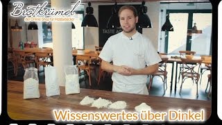 Selber backen  Wissenswertes über Dinkel [upl. by Narcho529]