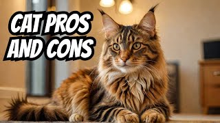 Essential Maine Coon Cat PROS and CONS You Should Know [upl. by Rothberg167]