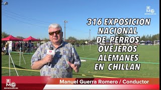 316 Exposición Nacional de perros Ovejeros Alemanes en Chillán [upl. by Dionne]