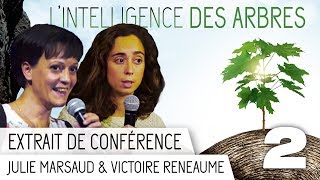 LIntelligence des Arbres  Conférence du 101017  Extrait 2 [upl. by Haynor388]