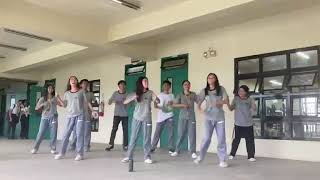 COR017 MAJOR PT DANCE WELLNESS GROUP 1 REPRESENTATIVES C1STEM06 [upl. by Agnizn]