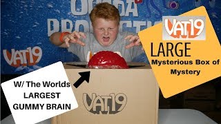 The Vat19 LARGE Mysterious Box of Mystery Contents Updated 91117 [upl. by Aihsiym731]