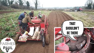 DIGGING THE SPUDS IN TIME FOR CHRISTMAS DINNER  MF 35 amp 711 POTATO HARVESTER [upl. by Bergman]