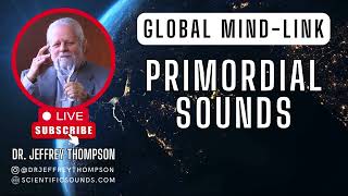 Primordial Sounds The Fingerprint of Your Voice [upl. by Sadler]