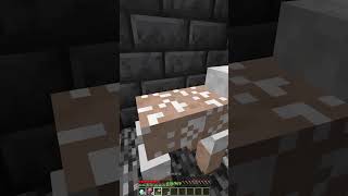 How To Escape Lucky Trap Moment shorts minecraft meme [upl. by Hett]