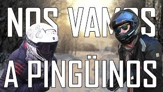 Nos vamos a PINGÜINOS Motoseries en pingüinos  Pt1 [upl. by Ahsrat365]