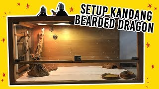 ✩ BASIC SET UP  KANDANG BEARDED DRAGON ✩ [upl. by Novad385]