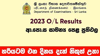 ol results release date  ol results හරියටම එන දිනය  20222023 ol results  SL Academy [upl. by Jenelle]