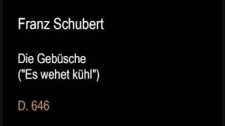 Schubert D646 Die Gebüsche Es wehet kühlwmv [upl. by Salli]