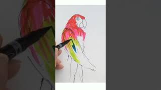 Colouring With Felt Tips for beginners  art shorts drawing viral Yo2condoit [upl. by Melville]