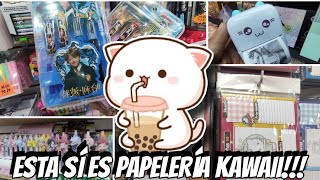 😍DESDE 4😱PAPELERIA KAWAII🤩SUPER ECONÓMICA🤑EN CENTRO CDMX😊HAZ NEGOCIO👌 [upl. by Esteban]