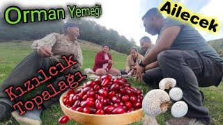 Ormanda Kızılcık Topalağı Ailecek Orman Gezisi Ormanda En Güzel Yemek [upl. by Aiki421]