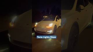 Tesla Light Show tesla car shorts [upl. by Neiht129]