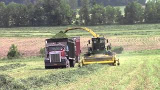 John Deere 7780 ProDrive Chopping Hay [upl. by Simon926]