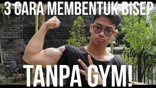 3 Gerakan Terbaik Membentuk Otot Bisep TANPA GYM  PHS [upl. by Nahsin14]