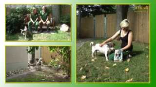 Hundevermittlung  AugustSeptember 2013 Tierheim Hannover TV [upl. by Otokam]