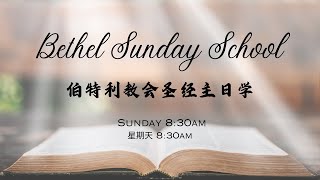 Bethel Sunday School Bilingual  10th November 2024  纳税  马太福音 172426 [upl. by Yeclehc]