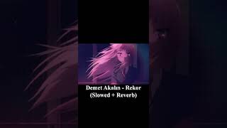 Demet Akalın  Rekor Slowed  Reverb [upl. by Murtha]