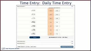 Time Entry for Providers [upl. by Madelyn415]