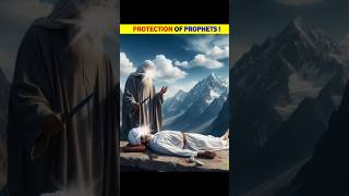 Protection Of Prophets   The one Speaks shorts history islamic shortsfeed [upl. by Kristian]