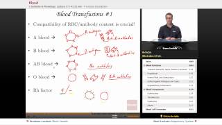 quotBloodquot  Anatomy amp Physiology with Educatorcom [upl. by Spooner]