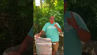 EXPERIENCIA REAL  ZOOLOGICO MIAMI  travel miami zoo [upl. by Ahsitaf]