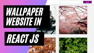 Wallpaper website using REACT  ithinktechnologies [upl. by Anaele592]