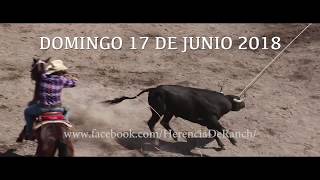 LOS MEJORES TOROS BRAVOS EN UN SOLO LUGAR PLAZA DE TOROS LOMA BONITA [upl. by Airogerg]