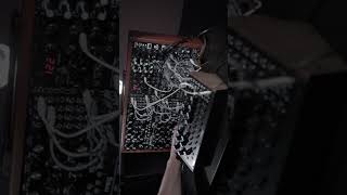 Moog techno modularsynth mother32 moogsynthesizer synthesizer moogmodular dfam euroracksynth [upl. by Franciscka]