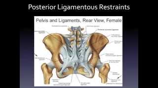 Sacroiliac Joint Pain Treatment  Chiropractic Techniques  Colorado Spine Surgeon [upl. by Nnaynaffit143]