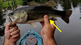 LUNKERHUNT TOPWATER COMBO REVIEW Do They Work [upl. by Weldon]