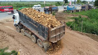 Excellent work Bulldozer SHANTUI DH17C3 Skill pushing soil with 30ton Dump Truck pouring soil [upl. by Athene277]