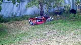 Homemade Radio Controlled Lawnmower [upl. by Max1]