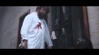 Operation Endgame  Zach Galifianakis DUBSTEP REMIX [upl. by Berard]