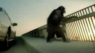 Trunk Monkey Commercials [upl. by Tilden]