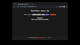 RasPiCam Vision Lite Demo [upl. by Griffy]