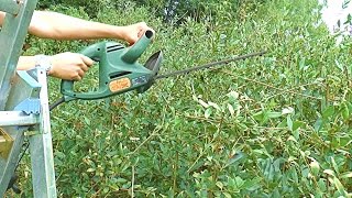 Cut Privet Hedge  Ligusterhecke schneiden [upl. by Llebana]