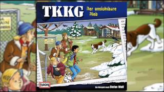 TKKG  Folge 185 Der unsichtbare Dieb [upl. by Hirsh33]